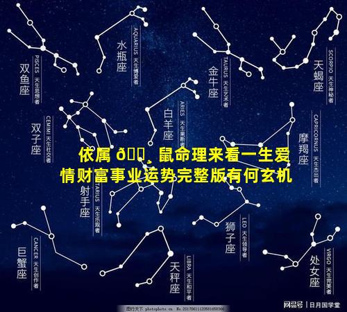 依属 🌸 鼠命理来看一生爱情财富事业运势完整版有何玄机